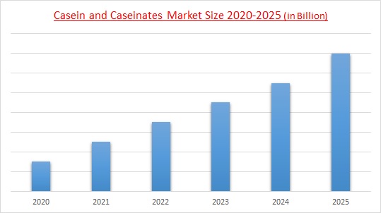 Casein and Caseinates Market Size